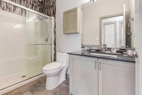 102 Speargrass Crescent, Carseland, AB - Indoor Photo Showing Bathroom