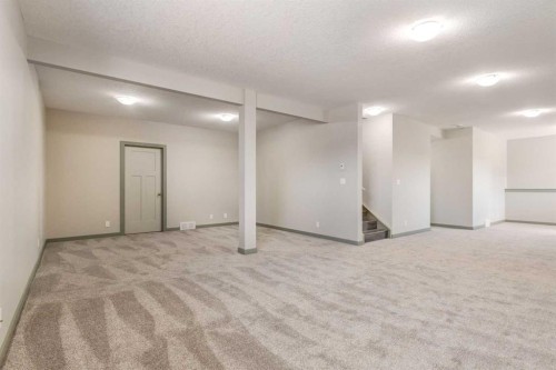 102 Speargrass Crescent, Carseland, AB - Indoor