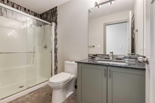 102 Speargrass Crescent, Carseland, AB - Indoor Photo Showing Bathroom