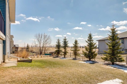 102 Speargrass Crescent, Carseland, AB - Outdoor With View