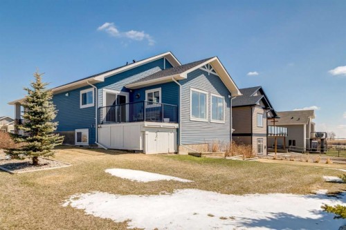 102 Speargrass Crescent, Carseland, AB - Outdoor