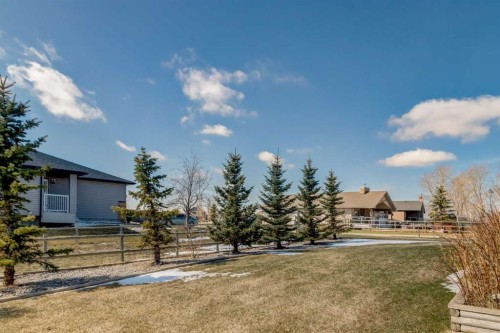 102 Speargrass Crescent, Carseland, AB - Outdoor With View