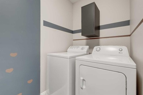 196 Hawkmere Way, Chestermere, AB - Indoor Photo Showing Laundry Room