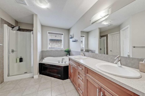 196 Hawkmere Way, Chestermere, AB - Indoor Photo Showing Bathroom