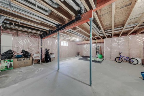 196 Hawkmere Way, Chestermere, AB - Indoor Photo Showing Basement