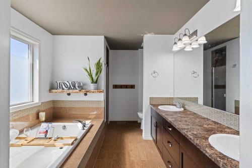 507 Windbrook Heights Sw, Airdrie, AB - Indoor Photo Showing Bathroom