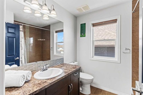 507 Windbrook Heights Sw, Airdrie, AB - Indoor Photo Showing Bathroom