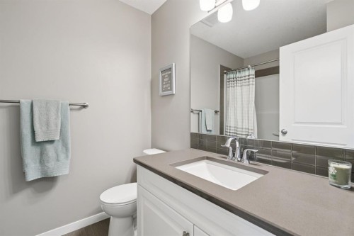 80 Brightoncrest Point Se, Calgary, AB - Indoor Photo Showing Bathroom