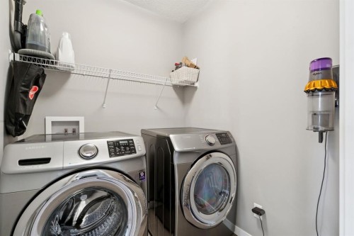 80 Brightoncrest Point Se, Calgary, AB - Indoor Photo Showing Laundry Room