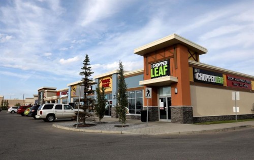 80 Brightoncrest Point Se, Calgary, AB - Outdoor