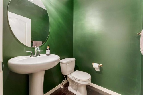 152 Brightoncrest Manor Se, Calgary, AB - Indoor Photo Showing Bathroom