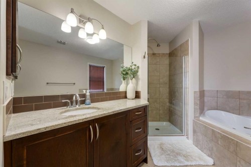 152 Brightoncrest Manor Se, Calgary, AB - Indoor Photo Showing Bathroom