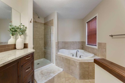 152 Brightoncrest Manor Se, Calgary, AB - Indoor Photo Showing Bathroom