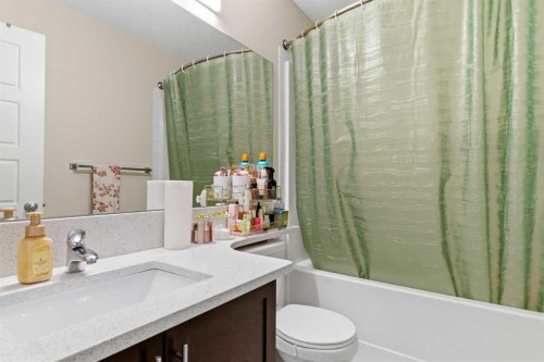 89 Pantego Lane Nw, Calgary, AB - Indoor Photo Showing Bathroom