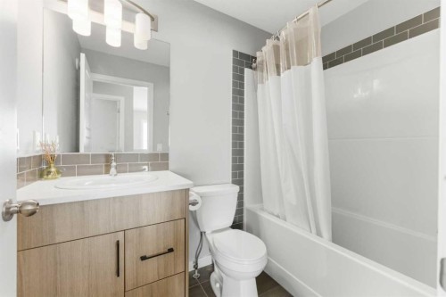 132 Highview Gate Se, Airdrie, AB - Indoor Photo Showing Bathroom