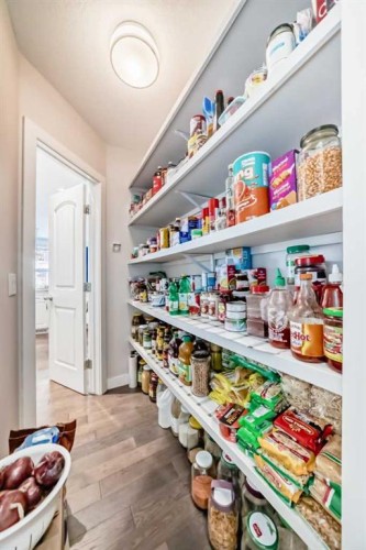 105 Sandpiper Point, Chestermere, AB - Indoor With Storage