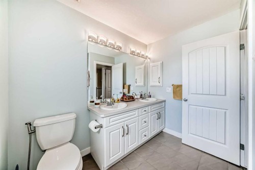 105 Sandpiper Point, Chestermere, AB - Indoor Photo Showing Bathroom