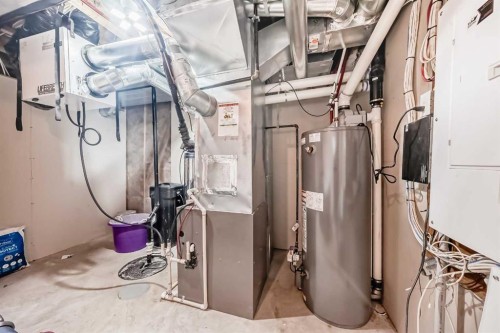 105 Sandpiper Point, Chestermere, AB - Indoor Photo Showing Basement