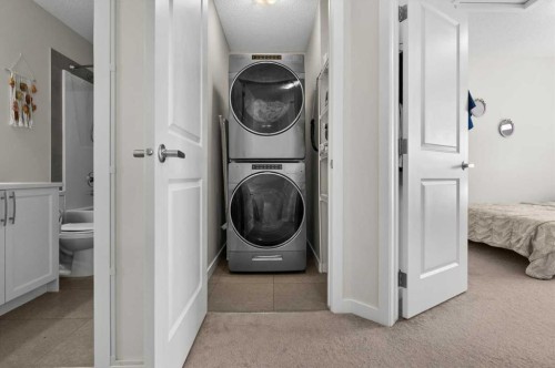 589 Masters Road Se, Calgary, AB - Indoor Photo Showing Laundry Room
