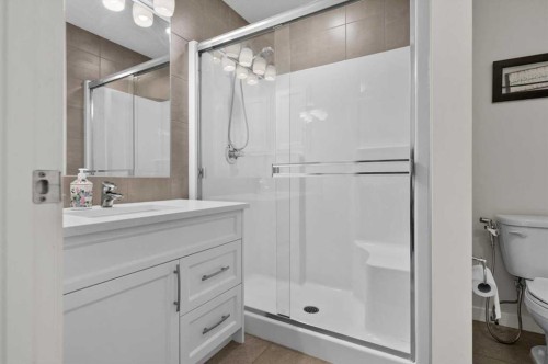 589 Masters Road Se, Calgary, AB - Indoor Photo Showing Bathroom