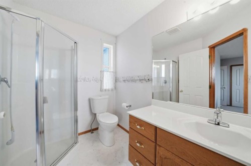 111 Coverton Close Ne, Calgary, AB - Indoor Photo Showing Bathroom