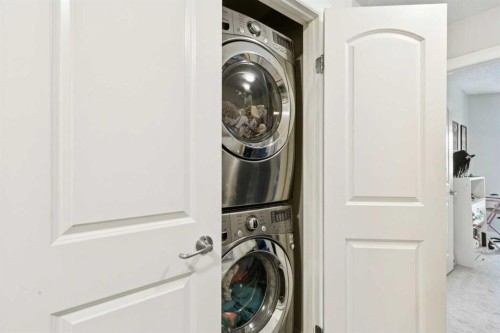 6-1729 34 Avenue Sw, Calgary, AB - Indoor Photo Showing Laundry Room