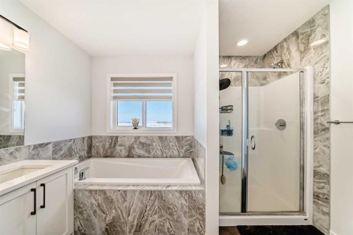 82 Magnolia Court Se, Calgary, AB - Indoor Photo Showing Bathroom