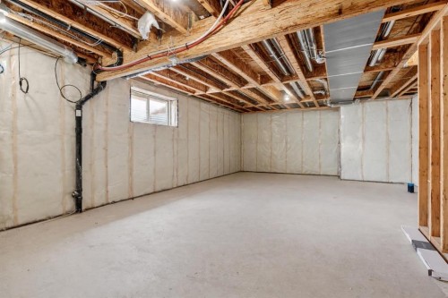 171 Carringham Road Nw, Calgary, AB - Indoor Photo Showing Basement