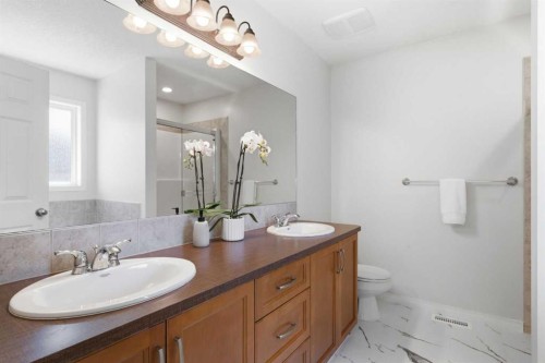 124 Kincora Glen Road Nw, Calgary, AB - Indoor Photo Showing Bathroom