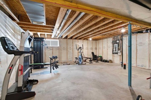 124 Kincora Glen Road Nw, Calgary, AB - Indoor Photo Showing Basement