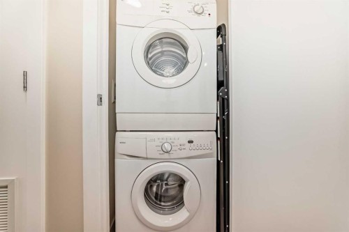 110-51 Waterfront Mews Sw, Calgary, AB - Indoor Photo Showing Laundry Room