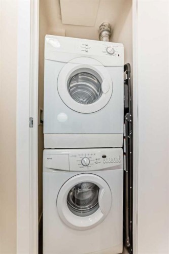 110-51 Waterfront Mews Sw, Calgary, AB - Indoor Photo Showing Laundry Room