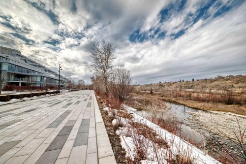 110-51 Waterfront Mews Sw, Calgary, AB - Outdoor With View