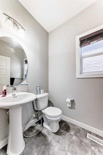 172 Redstone Park Ne, Calgary, AB - Indoor Photo Showing Bathroom