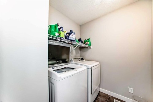 172 Redstone Park Ne, Calgary, AB - Indoor Photo Showing Laundry Room