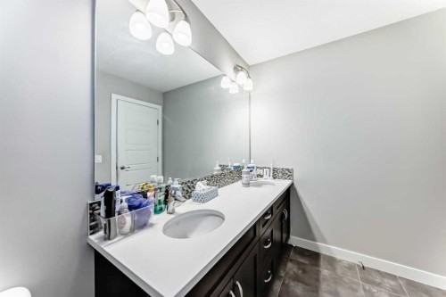 172 Redstone Park Ne, Calgary, AB - Indoor Photo Showing Bathroom