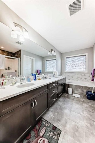 172 Redstone Park Ne, Calgary, AB - Indoor Photo Showing Bathroom