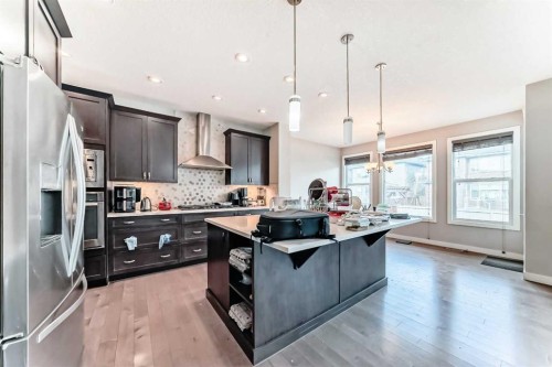 172 Redstone Park Ne, Calgary, AB - Indoor Photo Showing Kitchen With Upgraded Kitchen