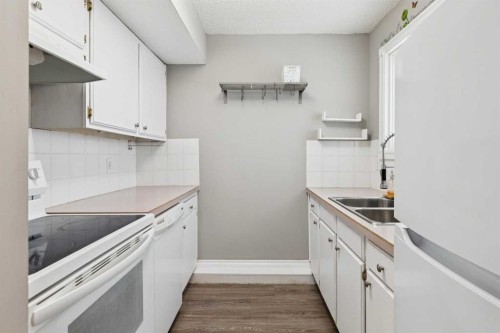 1002-2520 Palliser Drive Sw, Calgary, AB - Indoor Photo Showing Kitchen With Double Sink