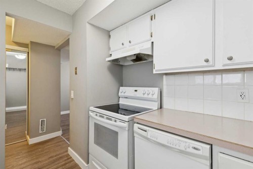 1002-2520 Palliser Drive Sw, Calgary, AB - Indoor Photo Showing Kitchen