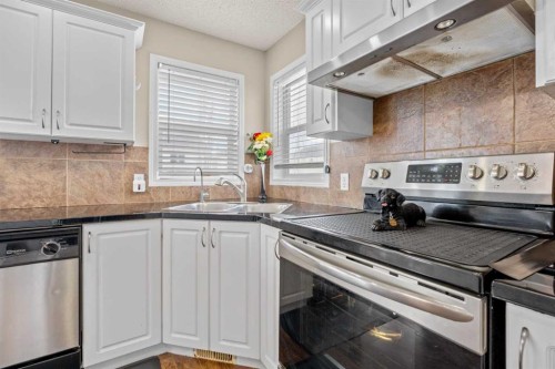 332 Oakmere Way, Chestermere, AB - Indoor Photo Showing Kitchen With Double Sink