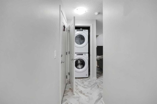 32 Seton Row Se, Calgary, AB - Indoor Photo Showing Laundry Room