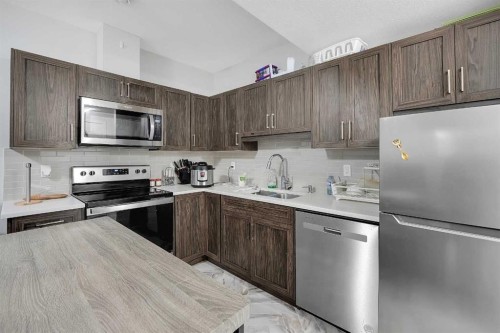 32 Seton Row Se, Calgary, AB - Indoor Photo Showing Kitchen With Double Sink
