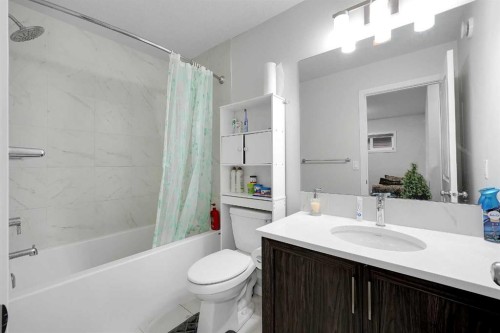 32 Seton Row Se, Calgary, AB - Indoor Photo Showing Bathroom