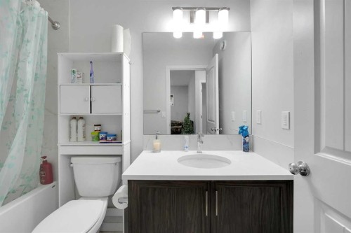 32 Seton Row Se, Calgary, AB - Indoor Photo Showing Bathroom