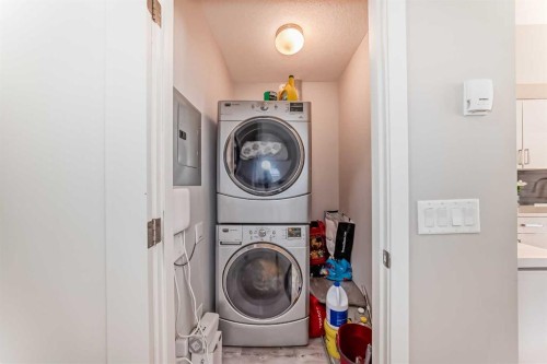 220-7 Westpark Common Sw, Calgary, AB - Indoor Photo Showing Laundry Room