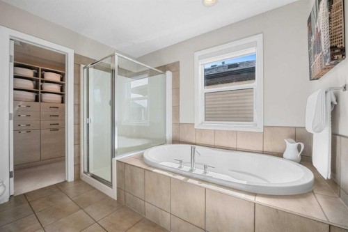 103 Auburn Glen Way Se, Calgary, AB - Indoor Photo Showing Bathroom