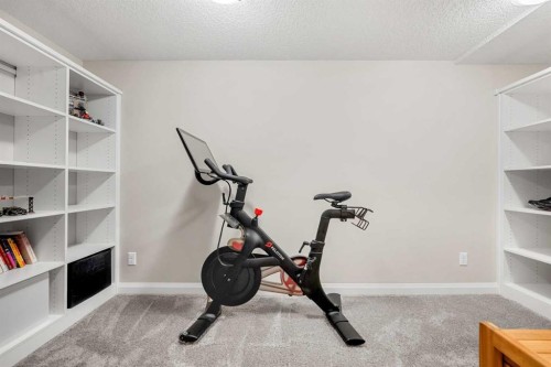 103 Auburn Glen Way Se, Calgary, AB - Indoor Photo Showing Gym Room
