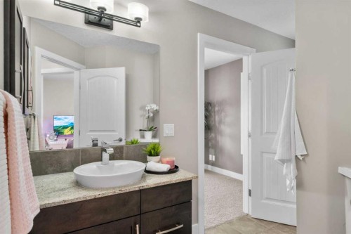 809 Canoe Green Sw, Airdrie, AB - Indoor Photo Showing Bathroom