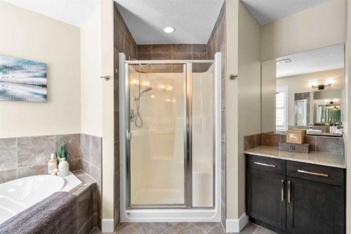 809 Canoe Green Sw, Airdrie, AB - Indoor Photo Showing Bathroom